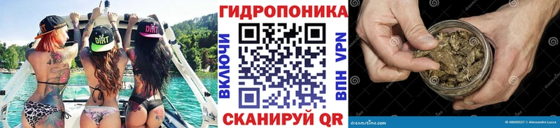 Шишки марихуана конопля  что такое наркотик  Углич 